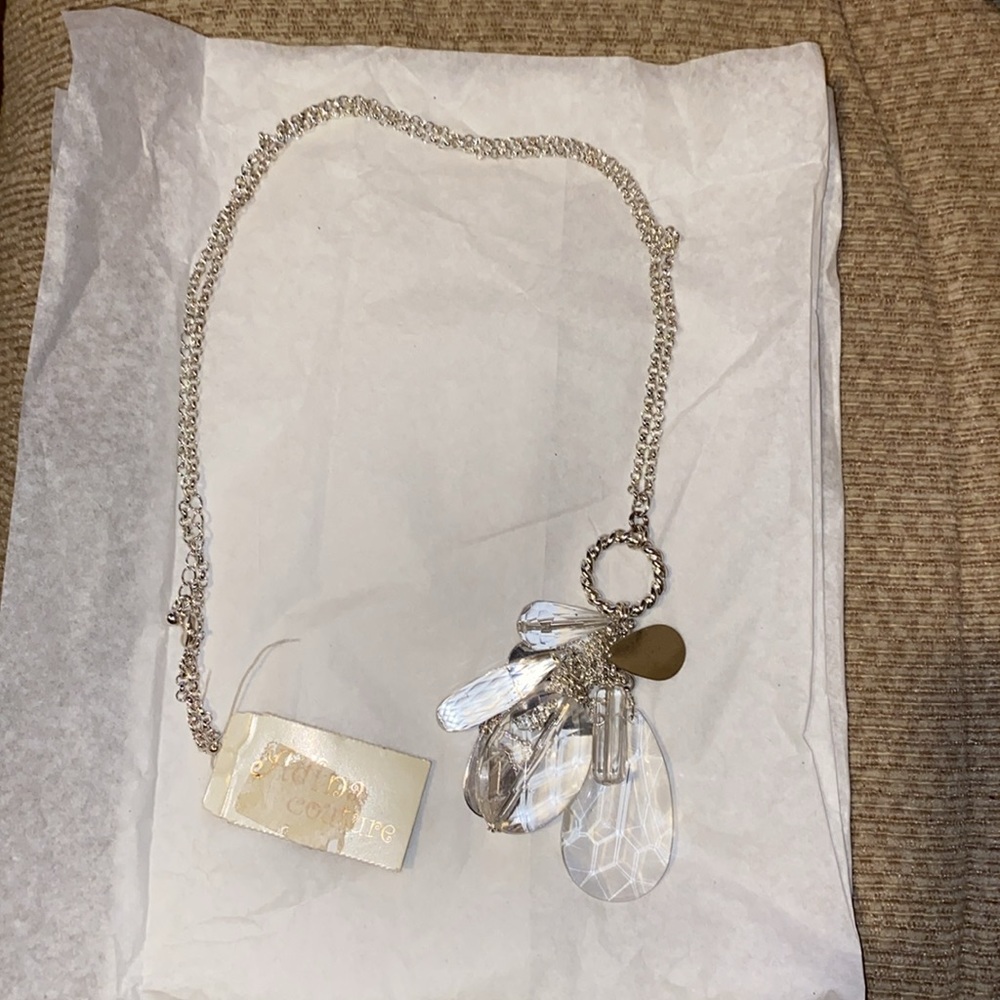 🤍🩶🤍NWT Silver & Clear Long Fashion Necklace